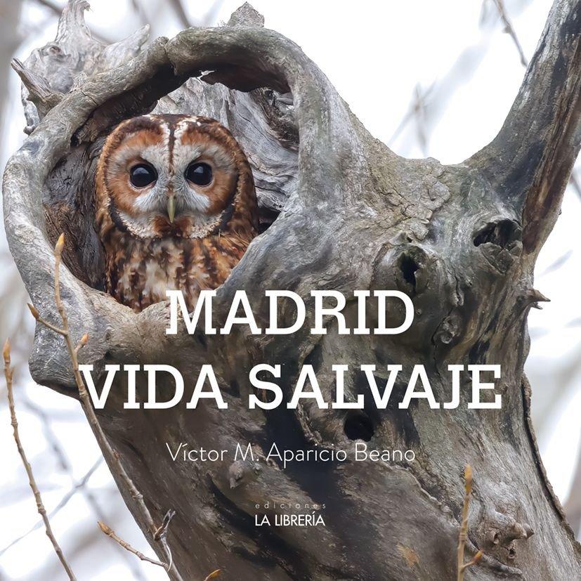 Buch Madrid vida salvaje 