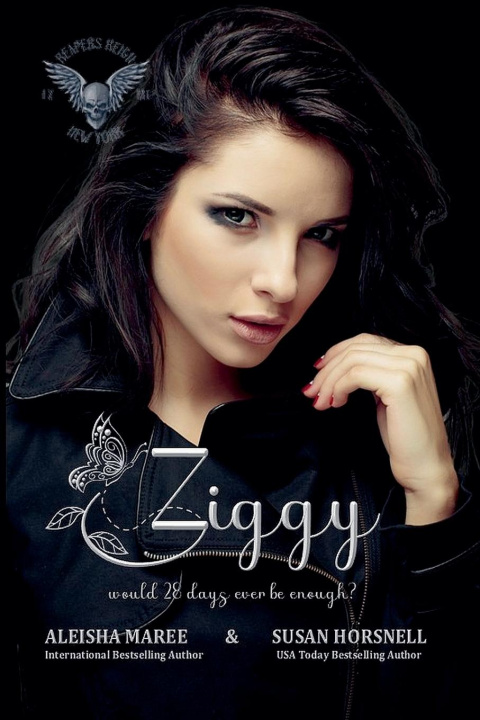 Kniha Ziggy Susan Horsnell
