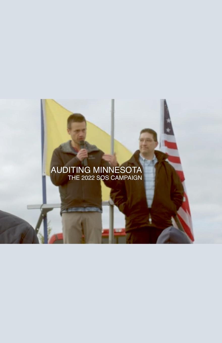 Kniha Auditing Minnesota 