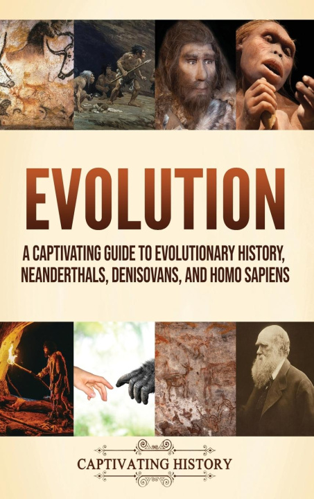Carte Evolution 