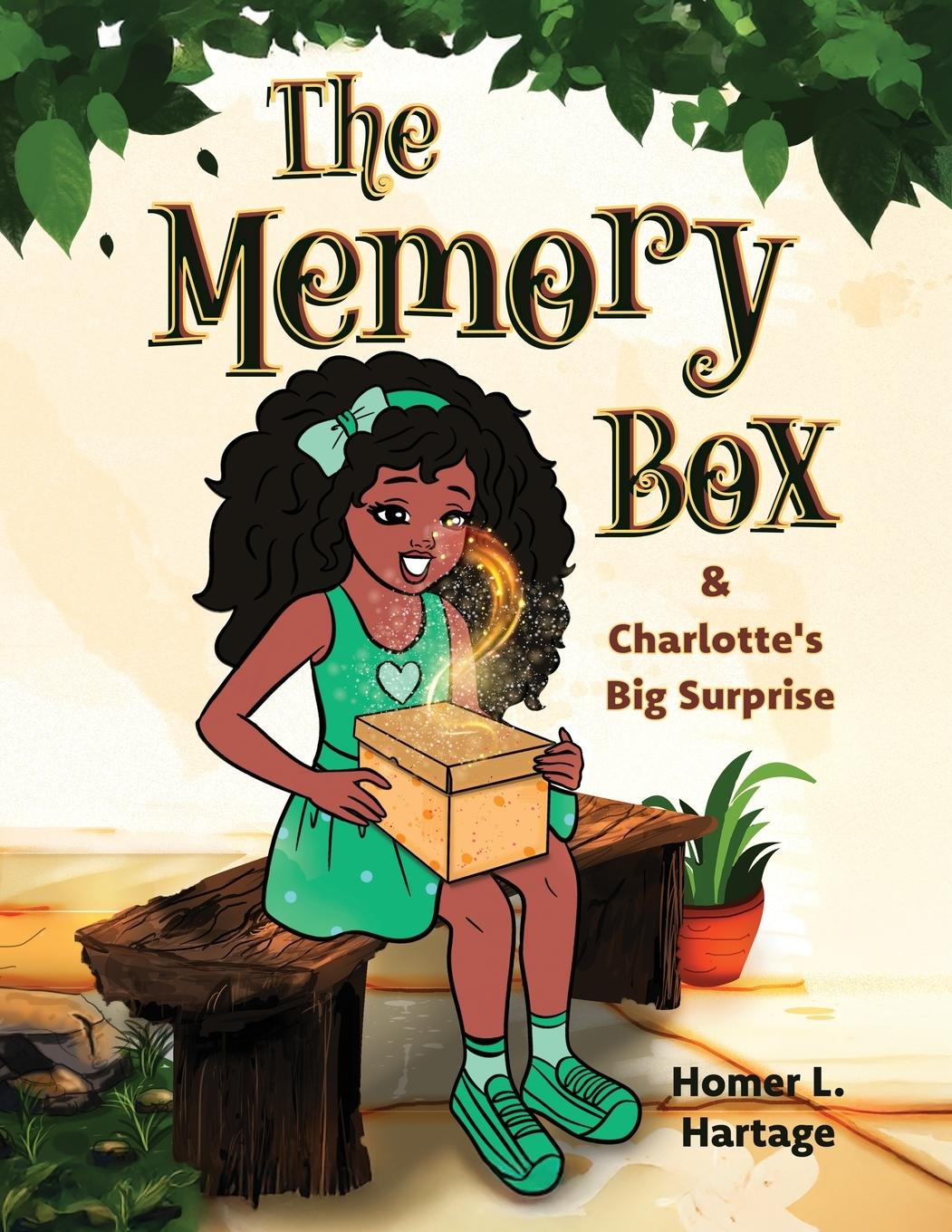 Kniha The Memory Box 
