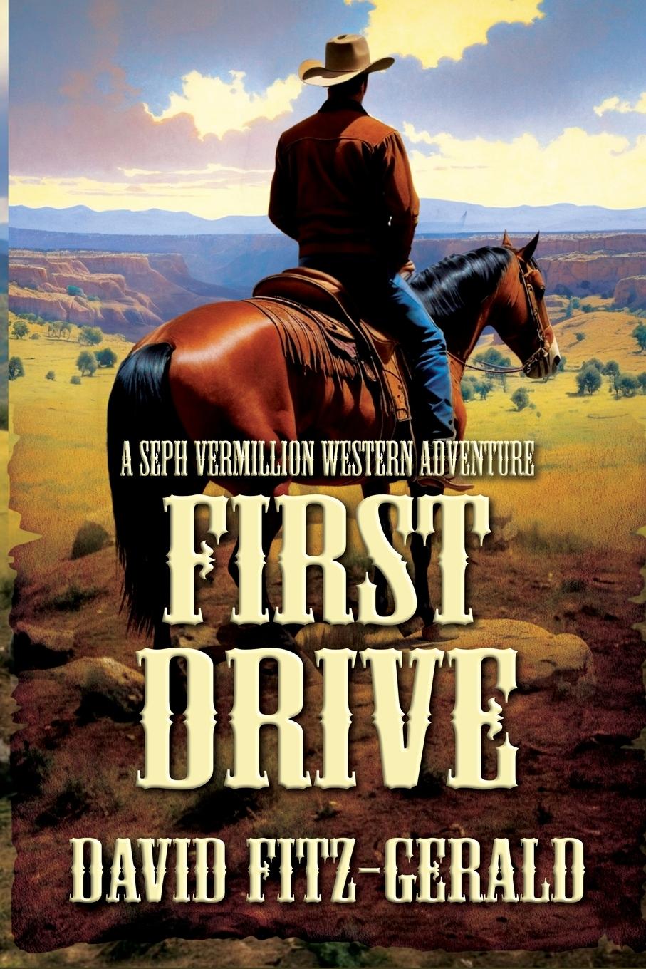 Kniha First Drive David Fitz-Gerald