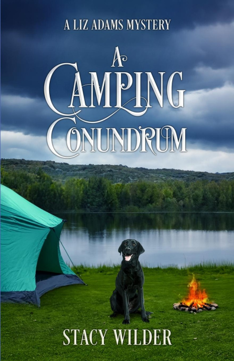 Knjiga A Camping Conundrum Stacy Wilder