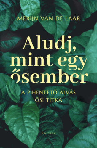 Kniha Aludj, mint egy ősember Merijn Van De Laar