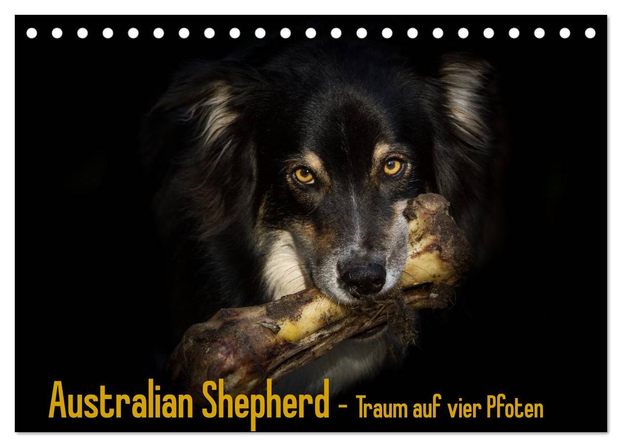 Kalendár/Diár Australian Shepherd - Traum auf vier Pfoten (Tischkalender 2026 DIN A5 quer), CALVENDO Monatskalender Calvendo