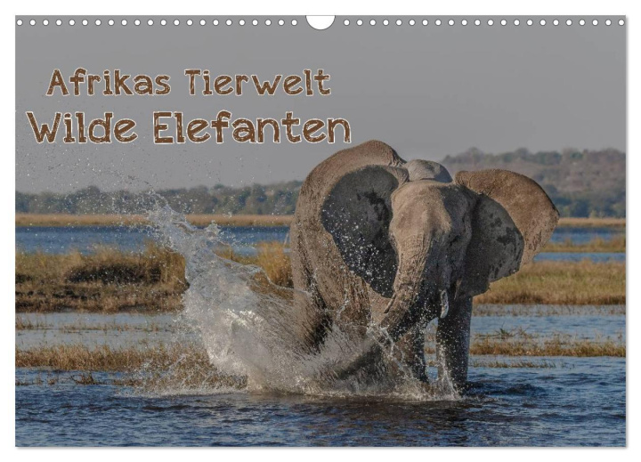 Kalendár/Diár Afrikas Tierwelt - Wilde Elefanten (Wandkalender 2026 DIN A3 quer), CALVENDO Monatskalender Calvendo