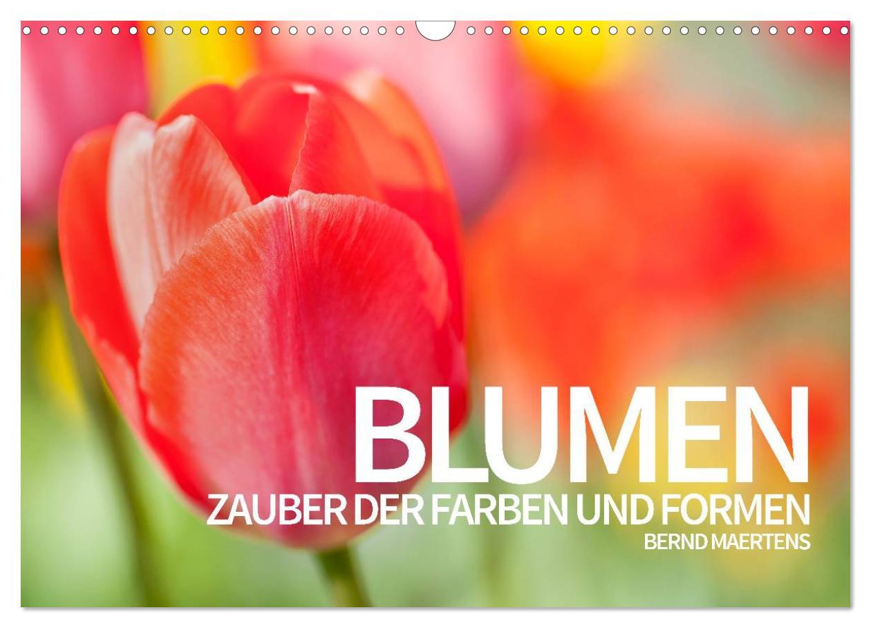 Kalendár/Diár BLUMEN Zauber der Farben und Formen (Wandkalender 2026 DIN A3 quer), CALVENDO Monatskalender Calvendo