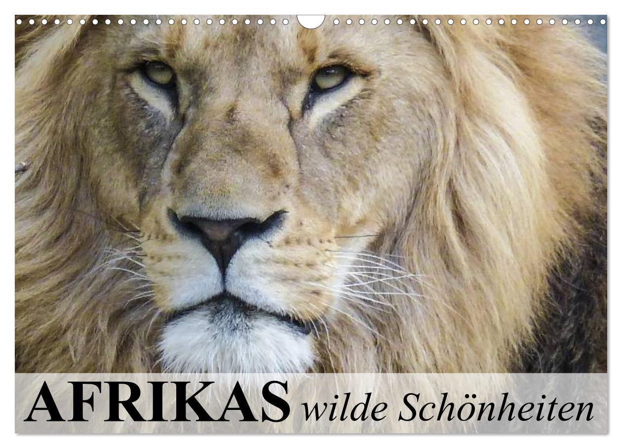 Kalendár/Diár Afrikas wilde Schönheiten (Wandkalender 2026 DIN A3 quer), CALVENDO Monatskalender Calvendo