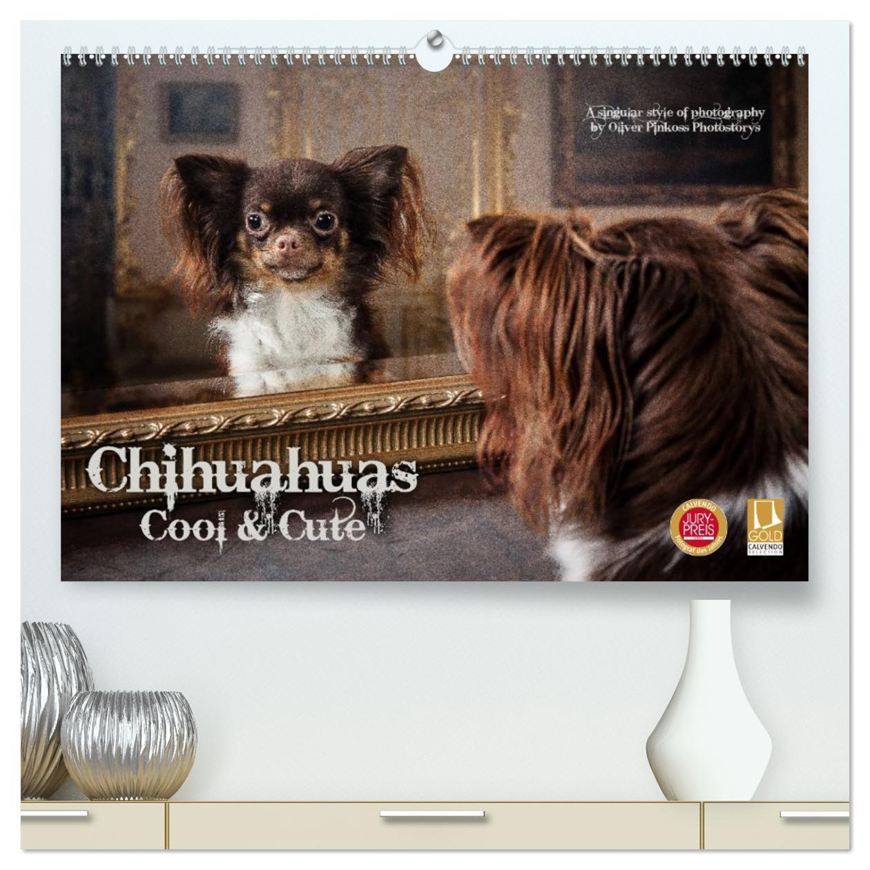 Kalendár/Diár Chihuahuas - Cool and Cute (hochwertiger Premium Wandkalender 2026 DIN A2 quer), Kunstdruck in Hochglanz Calvendo