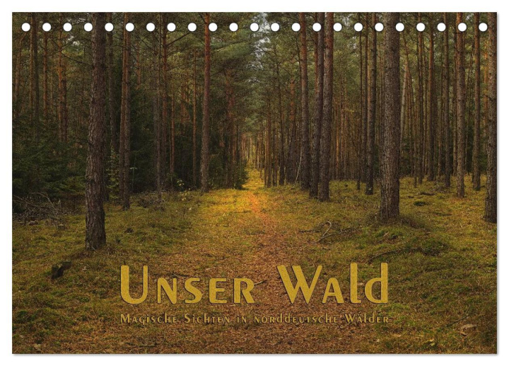 Kalendár/Diár Unser Wald - Magische Sichten in norddeutsche Wälder (Tischkalender 2026 DIN A5 quer), CALVENDO Monatskalender Calvendo