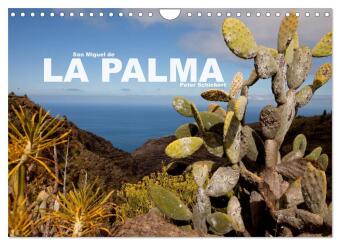 Kalendár/Diár San Miguel de la Palma (Wandkalender 2026 DIN A4 quer), CALVENDO Monatskalender Calvendo