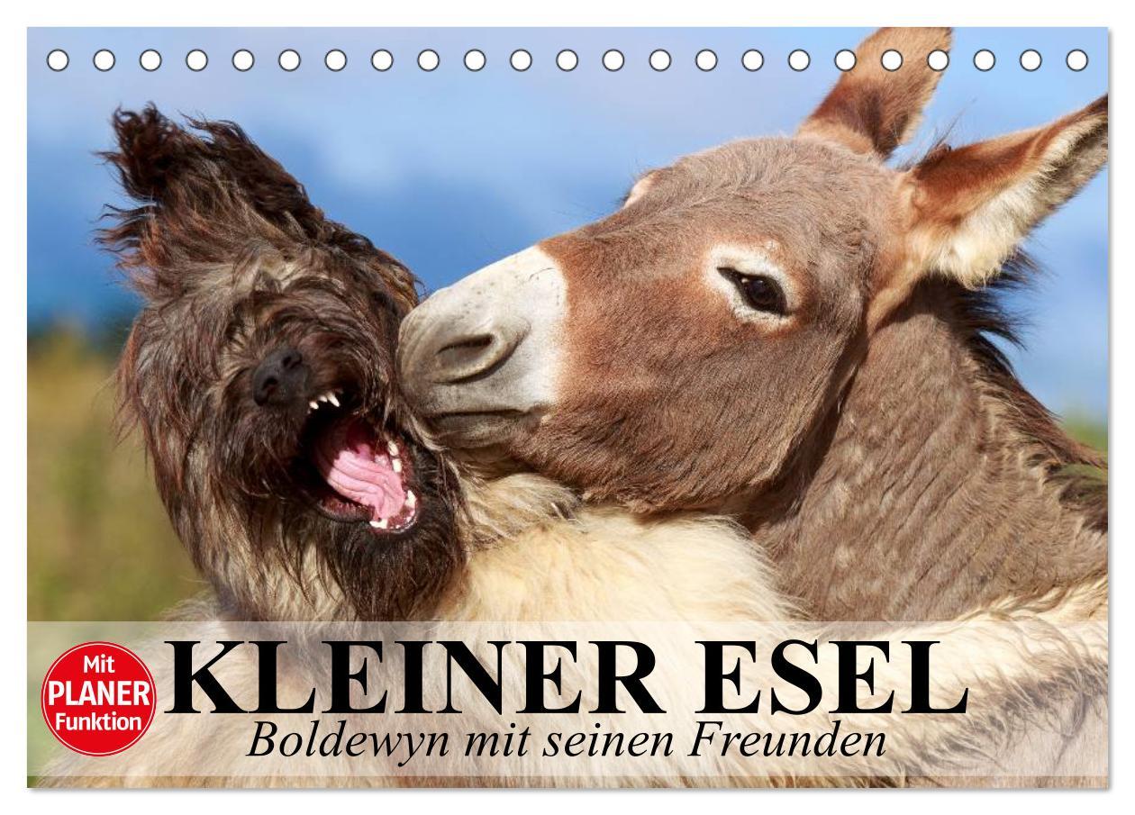 Kalendár/Diár Kleiner Esel. Boldewyn mit seinen Freunden (Tischkalender 2026 DIN A5 quer), CALVENDO Monatskalender Calvendo