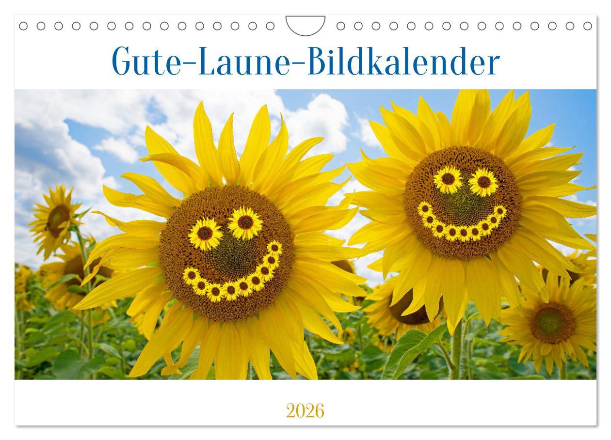 Kalendár/Diár Gute-Laune-Bildkalender 2026 (Wandkalender 2026 DIN A4 quer), CALVENDO Monatskalender Calvendo
