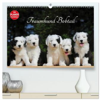 Kalendár/Diár Traumhund Bobtail (hochwertiger Premium Wandkalender 2026 DIN A2 quer), Kunstdruck in Hochglanz Calvendo
