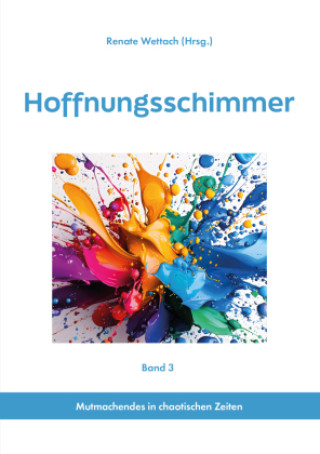 Kniha Hoffnungsschimmer Stefanie Düll