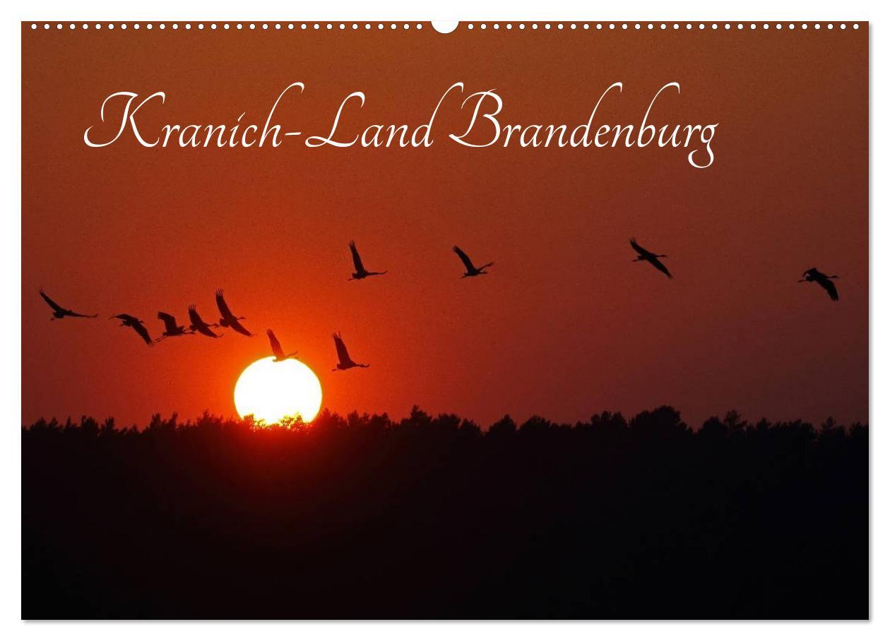 Kalendár/Diár Kranich-Land Brandenburg (Wandkalender 2026 DIN A2 quer), CALVENDO Monatskalender Calvendo