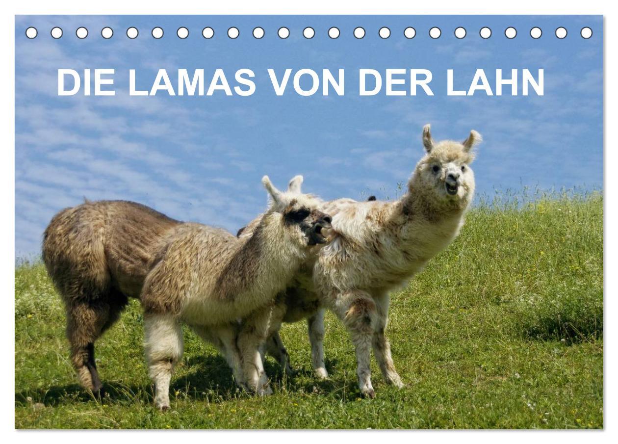 Kalendár/Diár DIE LAMAS VON DER LAHN (Tischkalender 2026 DIN A5 quer), CALVENDO Monatskalender Calvendo