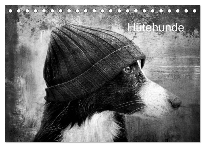 Kalendár/Diár Hütehunde (Tischkalender 2026 DIN A5 quer), CALVENDO Monatskalender Calvendo
