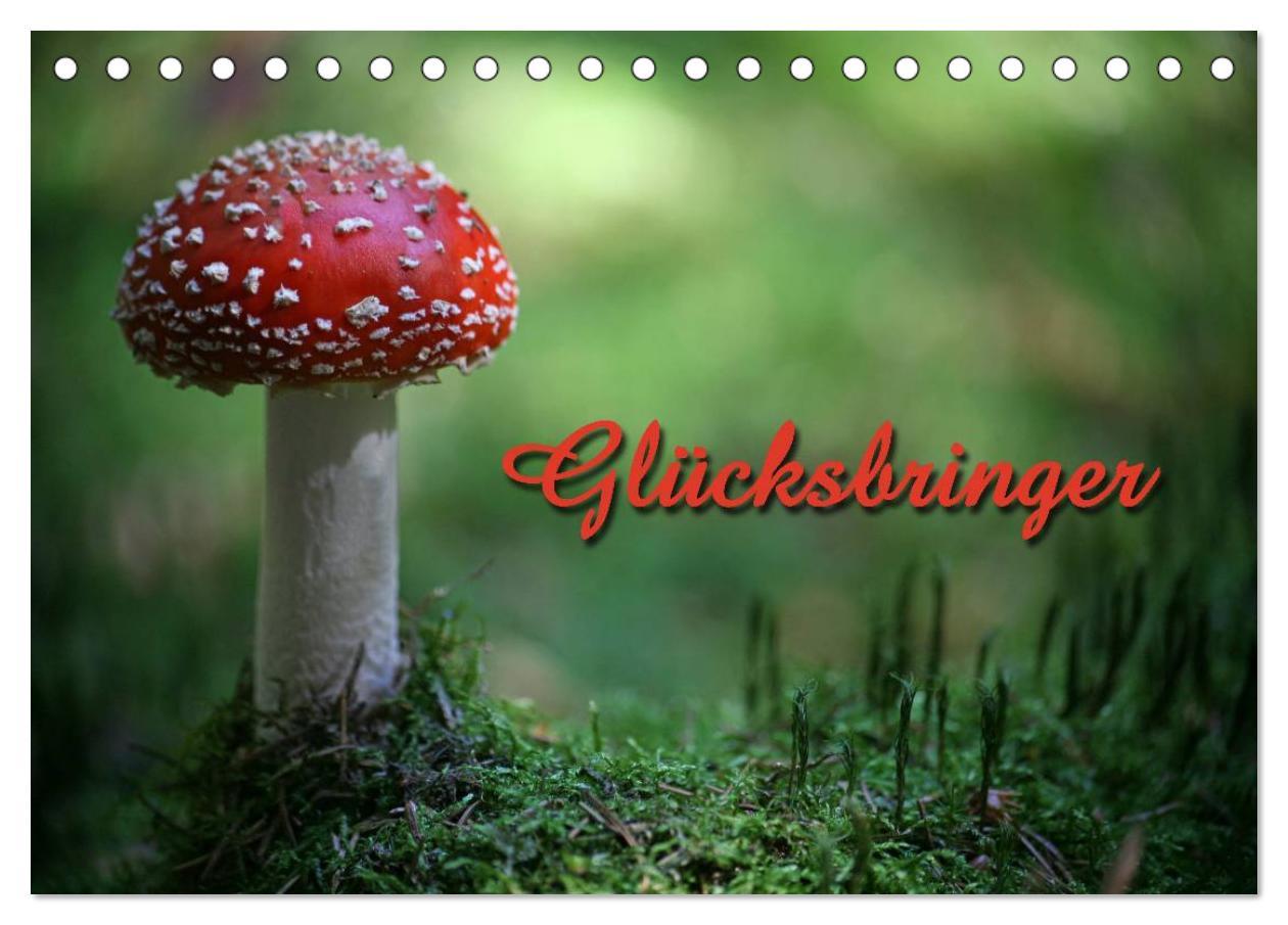Kalendár/Diár Glücksbringer (Tischkalender 2026 DIN A5 quer), CALVENDO Monatskalender Calvendo