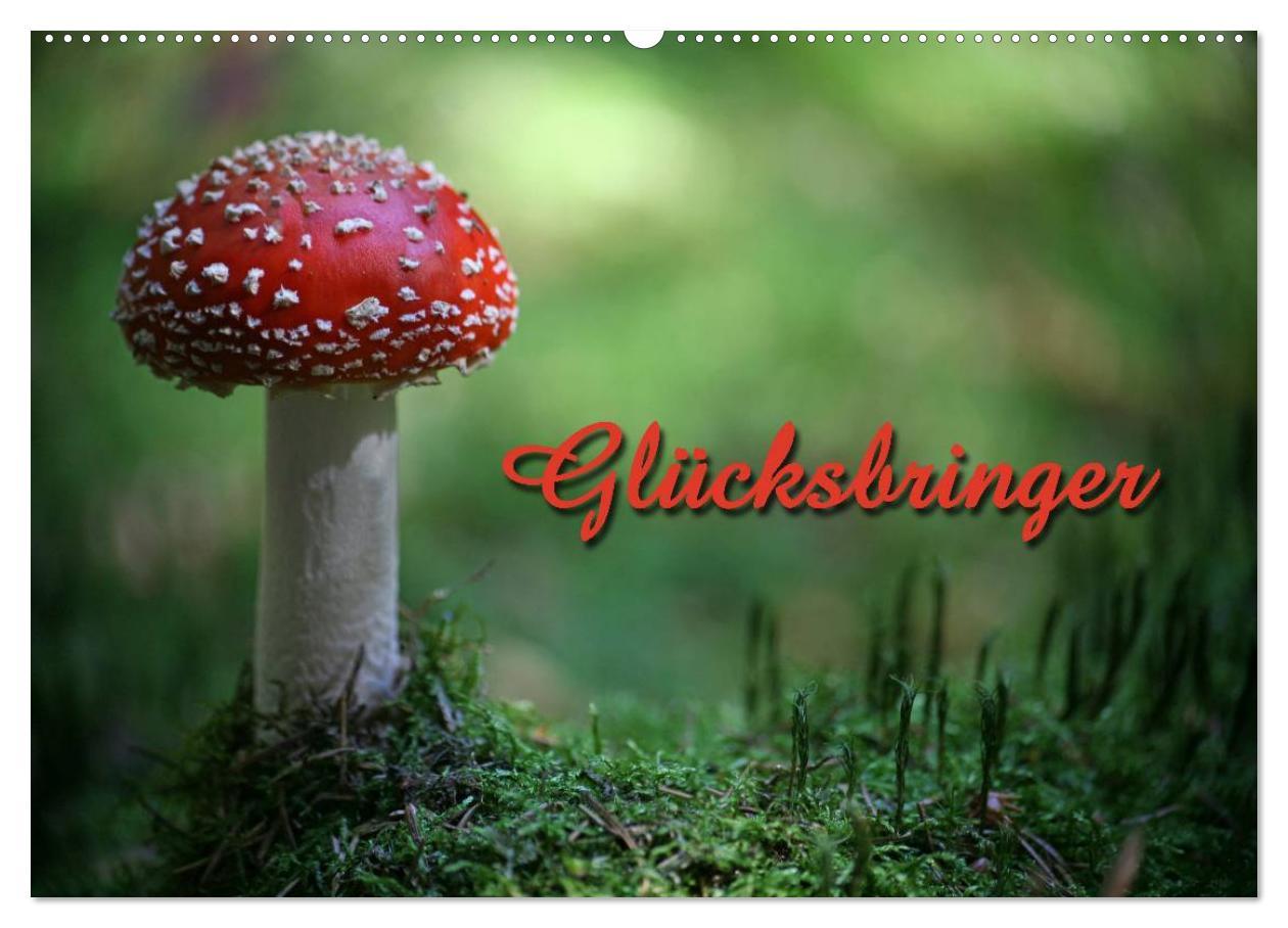 Kalendár/Diár Glücksbringer (Wandkalender 2026 DIN A2 quer), CALVENDO Monatskalender Calvendo