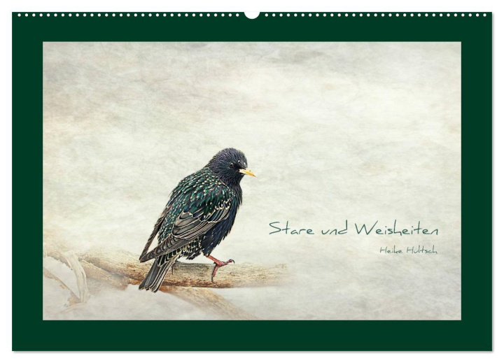 Kalendár/Diár Stare und Weisheiten (Wandkalender 2026 DIN A2 quer), CALVENDO Monatskalender Calvendo