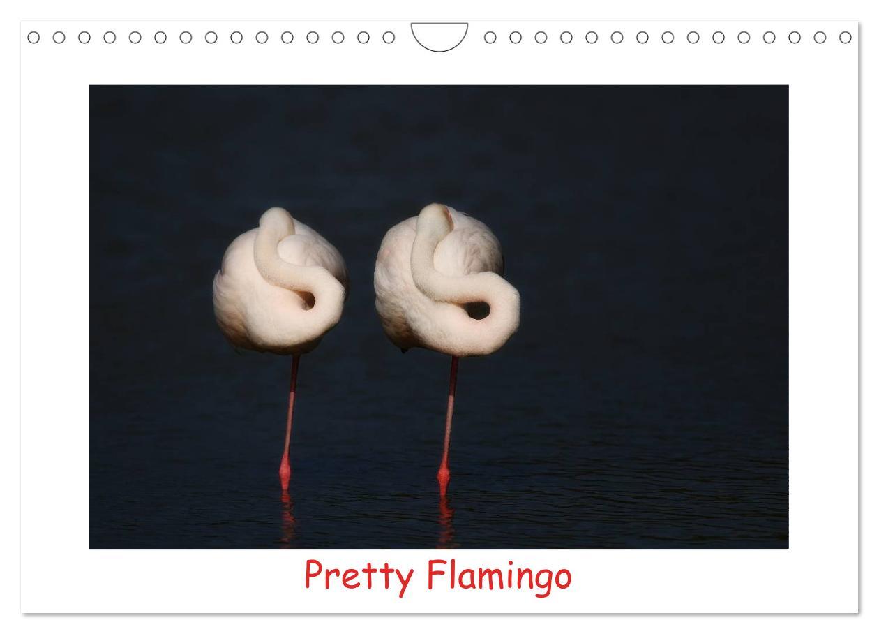 Kalendár/Diár Pretty Flamingo (Wandkalender 2026 DIN A4 quer), CALVENDO Monatskalender Calvendo