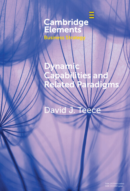 Książka Dynamic Capabilities and Related Paradigms David J. Teece