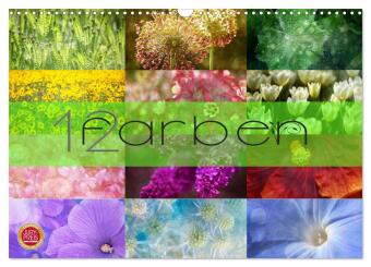 Kalendár/Diár 12 Farben (Wandkalender 2026 DIN A3 quer), CALVENDO Monatskalender Calvendo