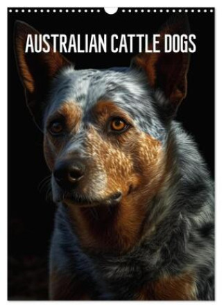 Kalendár/Diár Australian Cattle Dogs (Wandkalender 2026 DIN A3 hoch), CALVENDO Monatskalender Calvendo