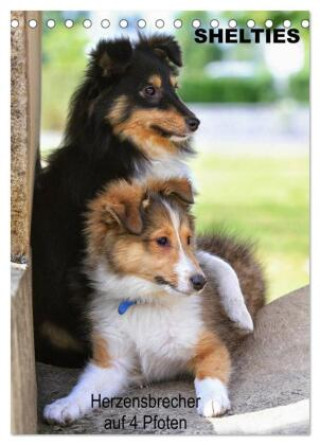 Kalendár/Diár SHELTIES Herzensbrecher auf 4 Pfoten (Tischkalender 2026 DIN A5 hoch), CALVENDO Monatskalender Calvendo
