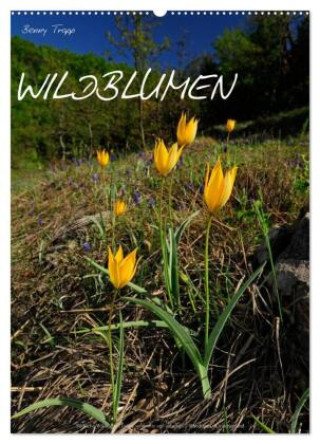Kalendár/Diár WILDBLUMEN (Wandkalender 2026 DIN A2 hoch), CALVENDO Monatskalender Calvendo