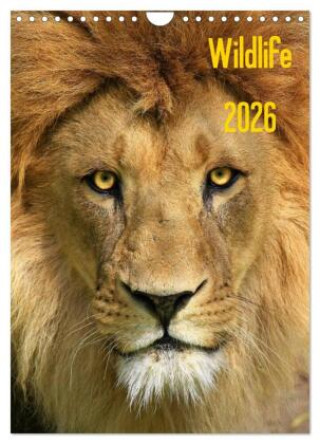 Kalendár/Diár Wildlife 2026 (Wandkalender 2026 DIN A4 hoch), CALVENDO Monatskalender Calvendo