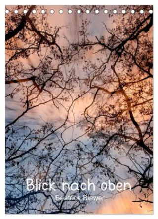Kalendár/Diár Blick nach oben (Tischkalender 2026 DIN A5 hoch), CALVENDO Monatskalender Calvendo