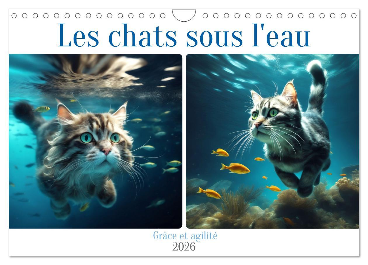 Kalendár/Diár Les chats sous l'eau (Calendrier mural 2026 DIN A4 vertical), CALVENDO calendrier mensuel Calvendo