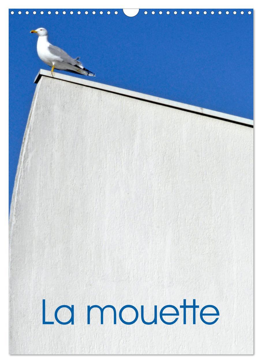 Kalendár/Diár La mouette (Calendrier mural 2026 DIN A3 horizontal), CALVENDO calendrier mensuel Calvendo