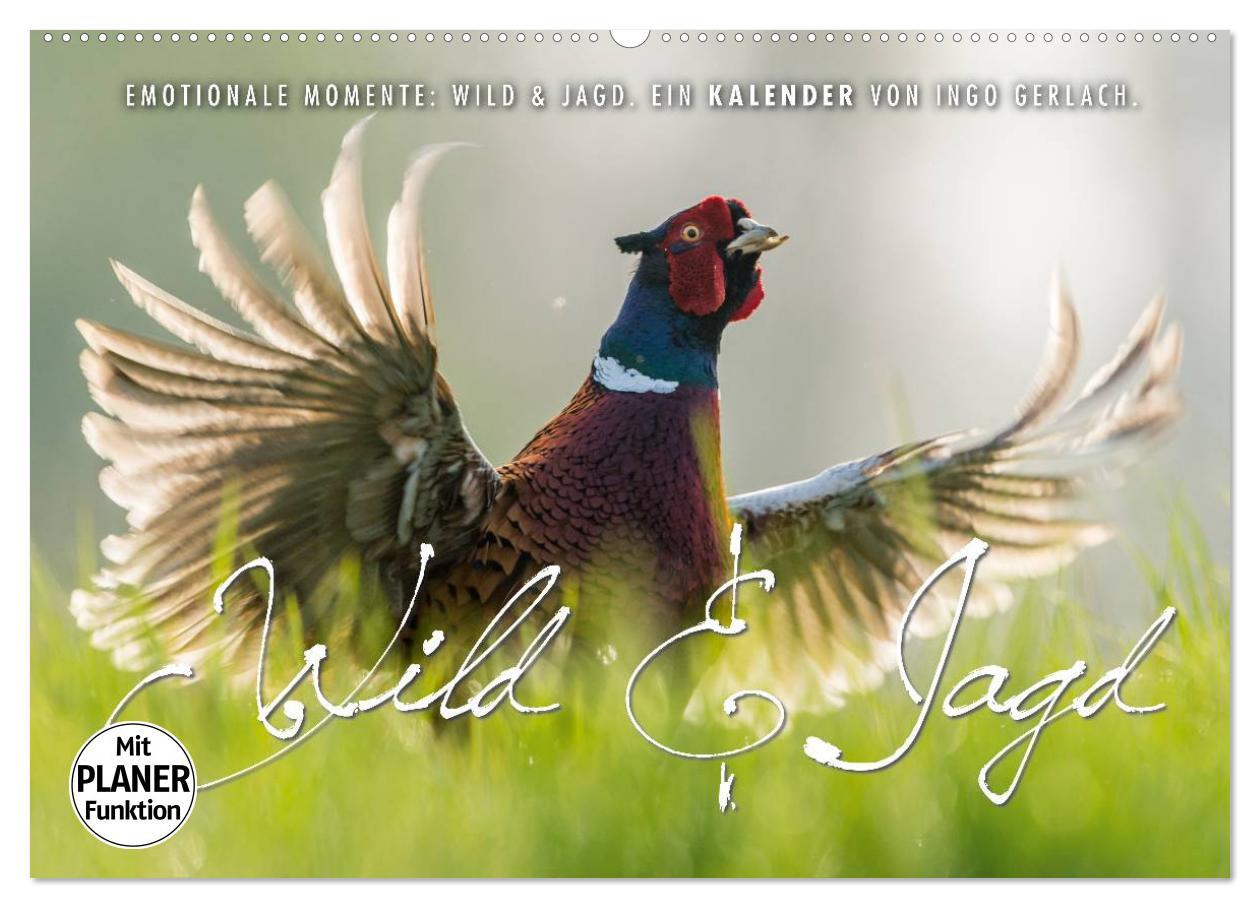 Kalendár/Diár Emotionale Momente: Wild und Jagd. (Wandkalender 2026 DIN A2 quer), CALVENDO Monatskalender Calvendo
