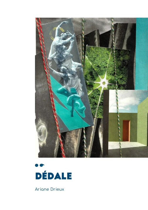 Kniha Dédale Drieux