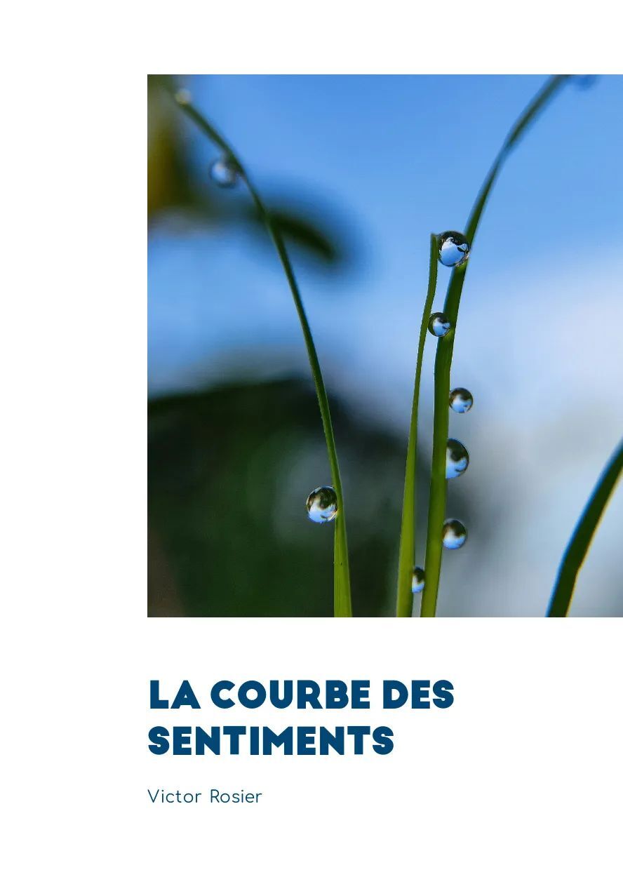 Buch La courbe des sentiments Rosier