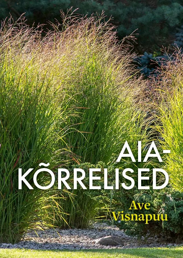 Boek Aiakõrrelised 