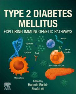 Knjiga Type 2 Diabetes Mellitus Haamid Bashir