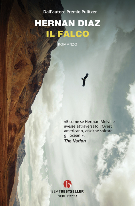 Libro falco Hernan Diaz