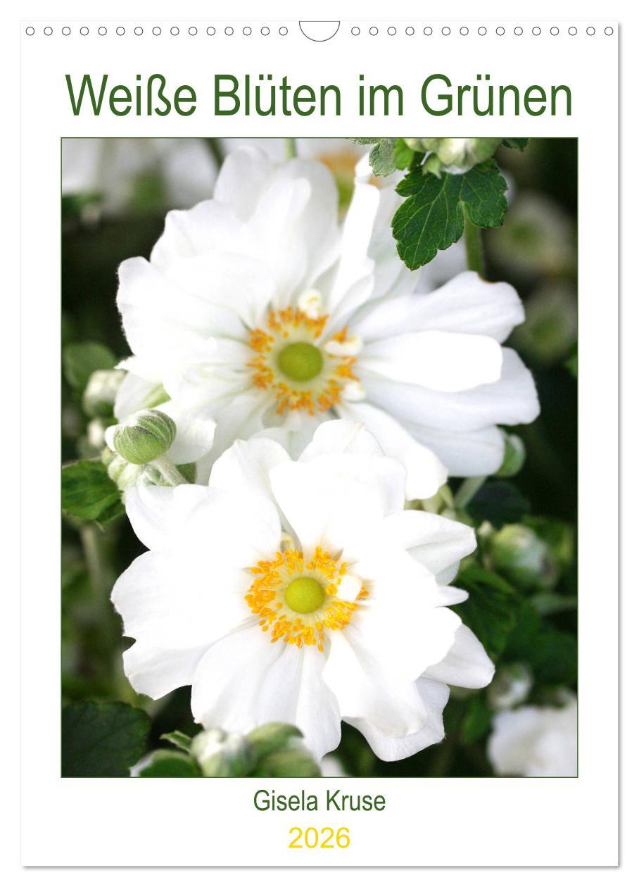 Календар/тефтер Weiße Blüten im Grünen (Wandkalender 2026 DIN A3 hoch), CALVENDO Monatskalender Calvendo