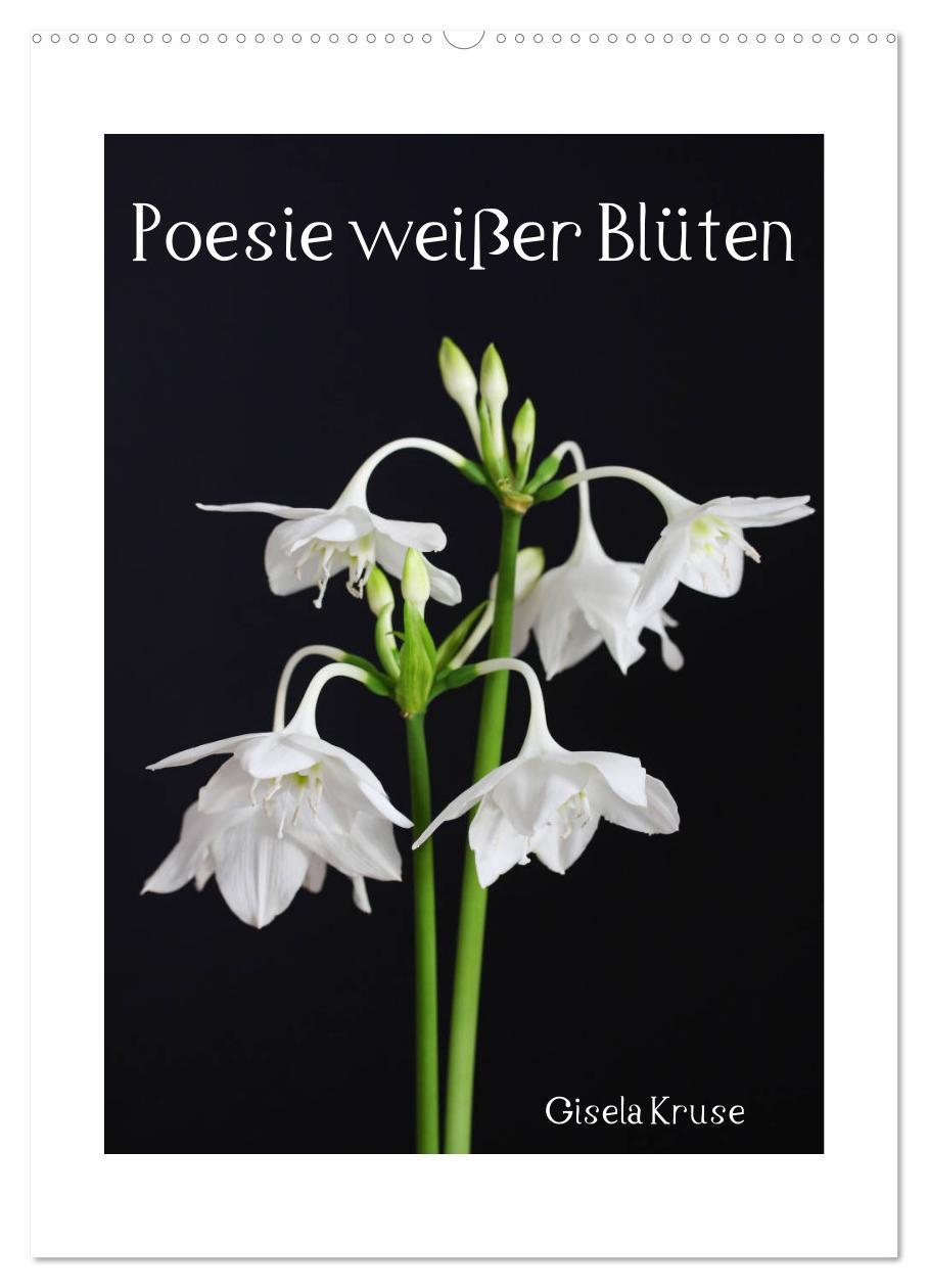 Календар/тефтер Poesie weißer Blüten (Wandkalender 2026 DIN A2 hoch), CALVENDO Monatskalender Calvendo