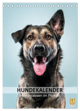 Календар/тефтер Hundekalender - Hunderassen im Portrait (Tischkalender 2026 DIN A5 hoch), CALVENDO Monatskalender Calvendo
