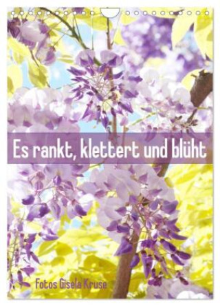 Календар/тефтер Es rankt, klettert und blüht (Wandkalender 2026 DIN A4 hoch), CALVENDO Monatskalender Calvendo