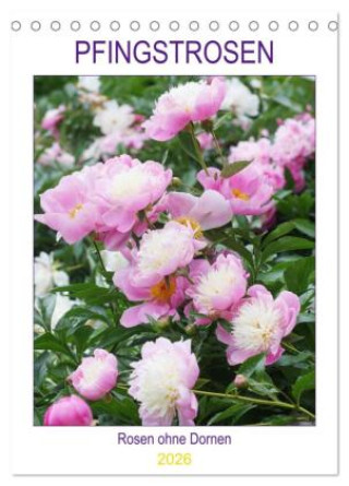 Календар/тефтер Pfingstrosen Rosen ohne Dornen (Tischkalender 2026 DIN A5 hoch), CALVENDO Monatskalender Calvendo