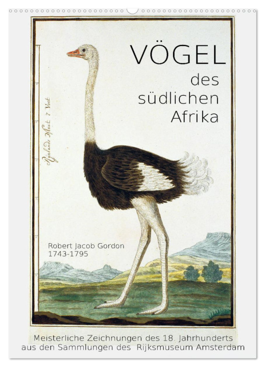 Календар/тефтер Vögel des südlichen Afrika (Wandkalender 2026 DIN A2 hoch), CALVENDO Monatskalender Calvendo