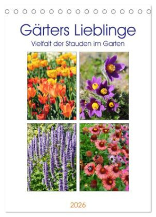 Календар/тефтер Gärtners Lieblinge - Vielfalt der Stauden im Garten (Tischkalender 2026 DIN A5 hoch), CALVENDO Monatskalender Calvendo