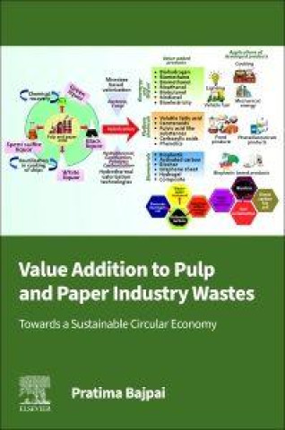 Kniha Value Addition to Pulp and Paper Industry Wastes Pratima Bajpai