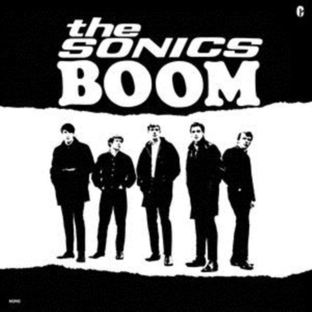 Audio Boom The Sonics